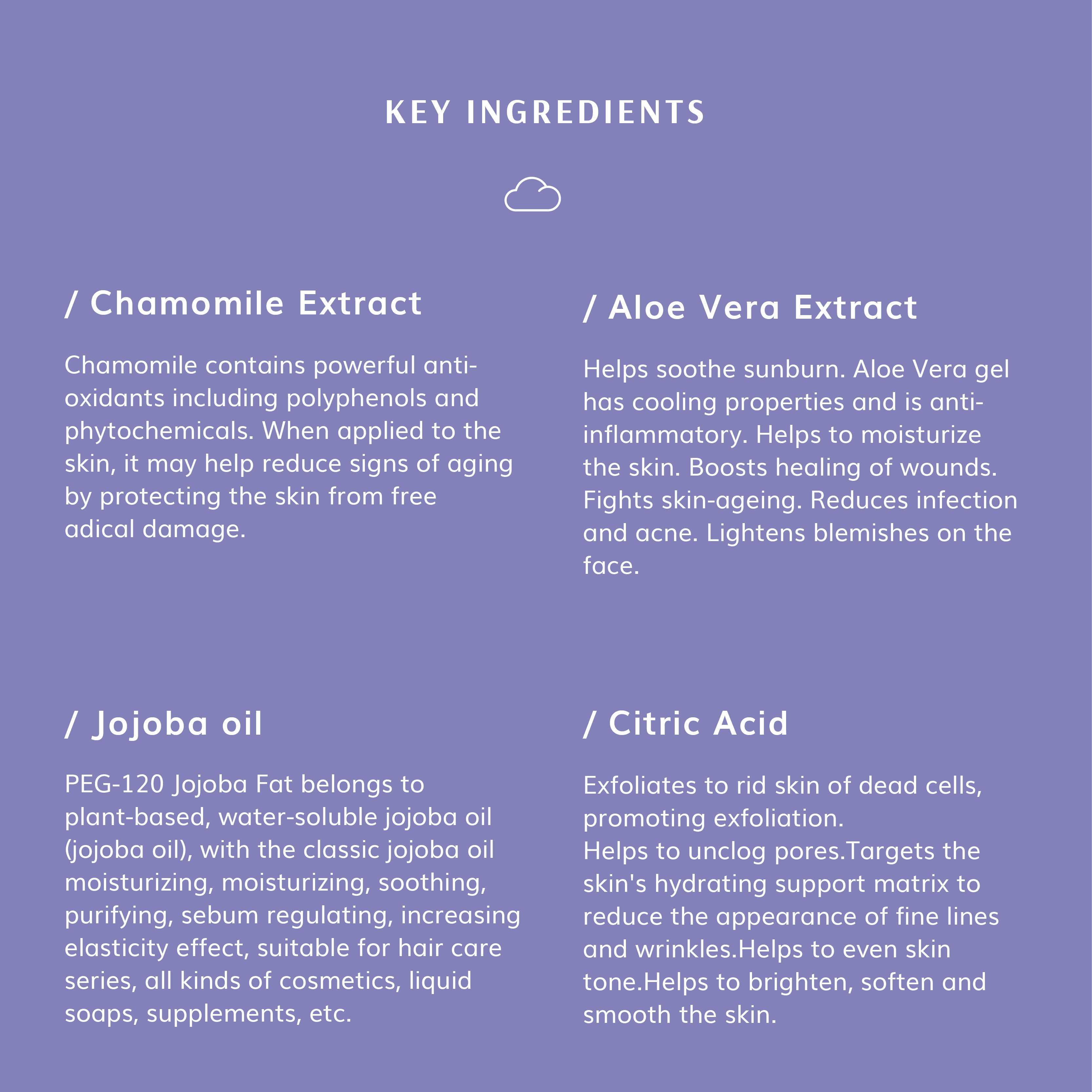 REFRESHER Gentle Foam Cleanser